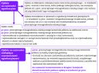Fikcyjna konkurencja komorników, czyli jak samorząd blokuje walkę o klienta