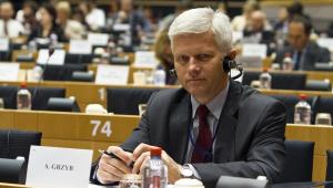 Andrzej Grzyb, europoseł