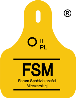 FSM