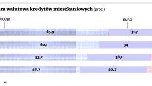 Struktura walutowa kredytów mieszkaniowych