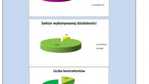 Struktura badanych firm
