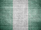 Kolejni kibice z Nigerii zatrzymani na przejściu w Gronowie
