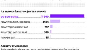 Działalność prokuratury w liczbach