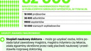 Nauczyciele akademiccy w publicznych szkołach wyższych