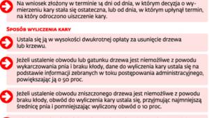 Nowe zasady karania za wyrąb bez zezwolenia