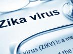 Zika zakaża cały świat paranoją