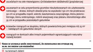 Nowe zasady dotyczące wycinki drzew