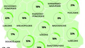 Jaka część pacjentów ma szansę na rehabilitację z pieniędzy NFZ