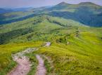 Na wakacje w Bieszczady. Park narodowy odnotował znaczny wzrost turystów