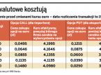 Firmy wracają do opcji walutowych