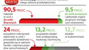 Działalność mikrofirm w liczbach