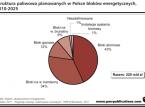 Na inwestycje energetyczne do 2025 r. Polska może wydać 220 mld zł