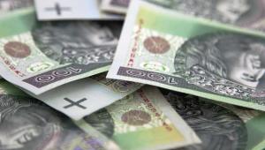 Złoty, pieniądze Fot. Shutterstock