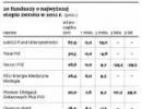 Fundusze inwestycyjne: Postawili na cudze długi i zarobili krocie