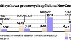 Wartość rynkowa groszowych spółek na NewConnect